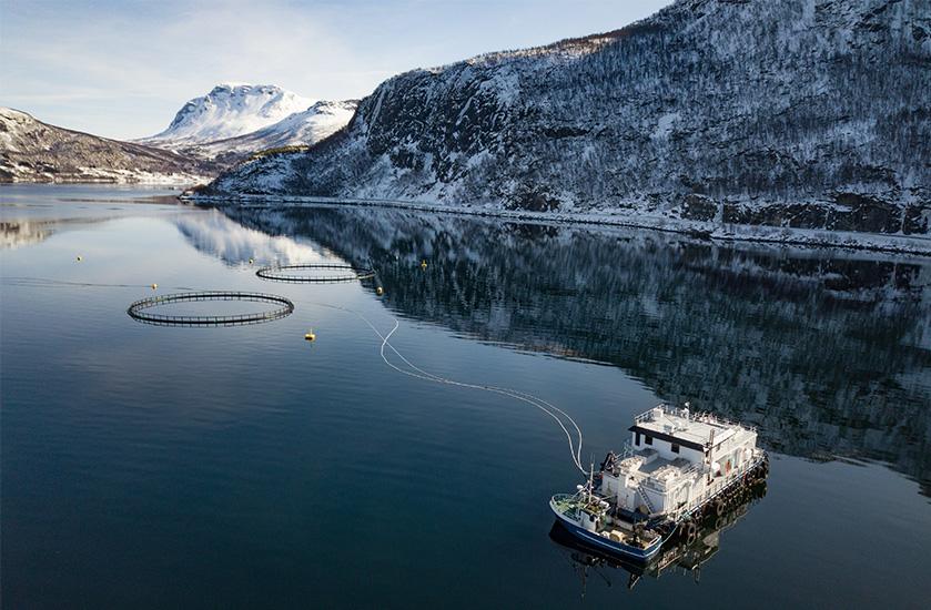 北歐純淨漁業&水產養殖