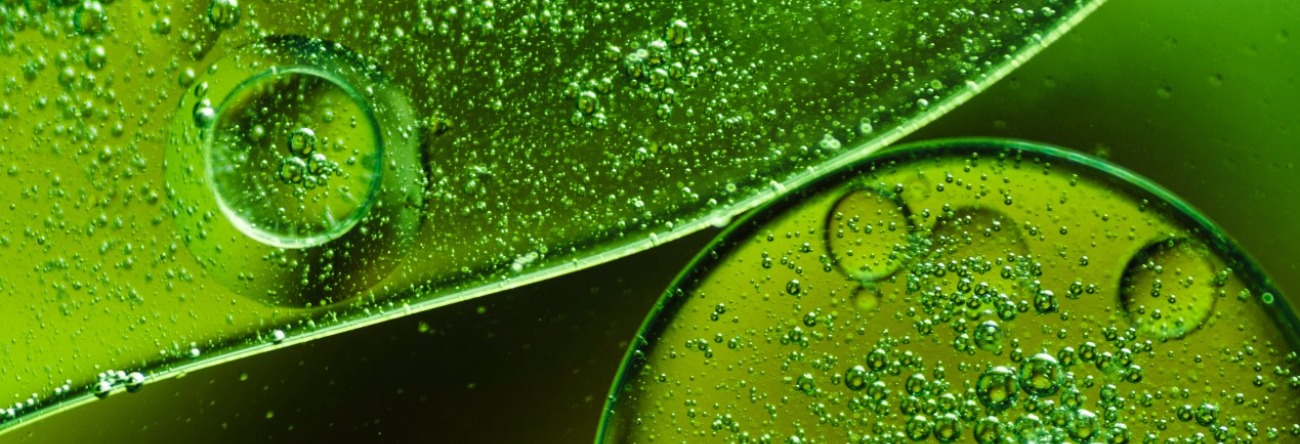 bright-green-bubbly-abstract-background